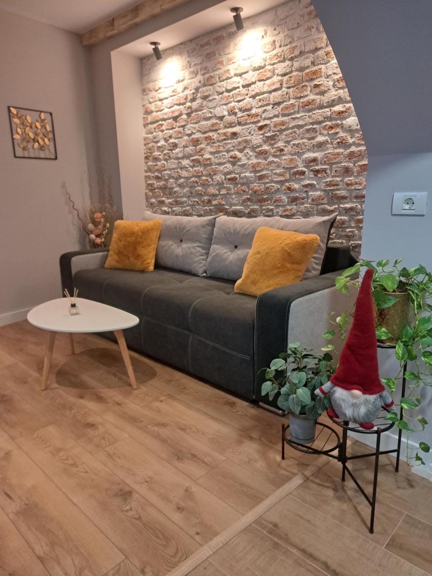 Casa Ileana Centrul Vechi Brasov Apartment Luaran gambar